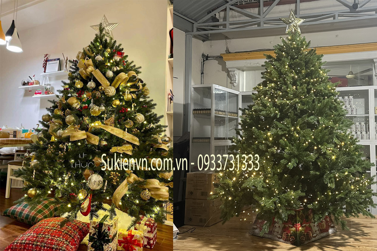 Cho Thuê Cây Thônng Noel Tại Quận 6. Ảnh 4